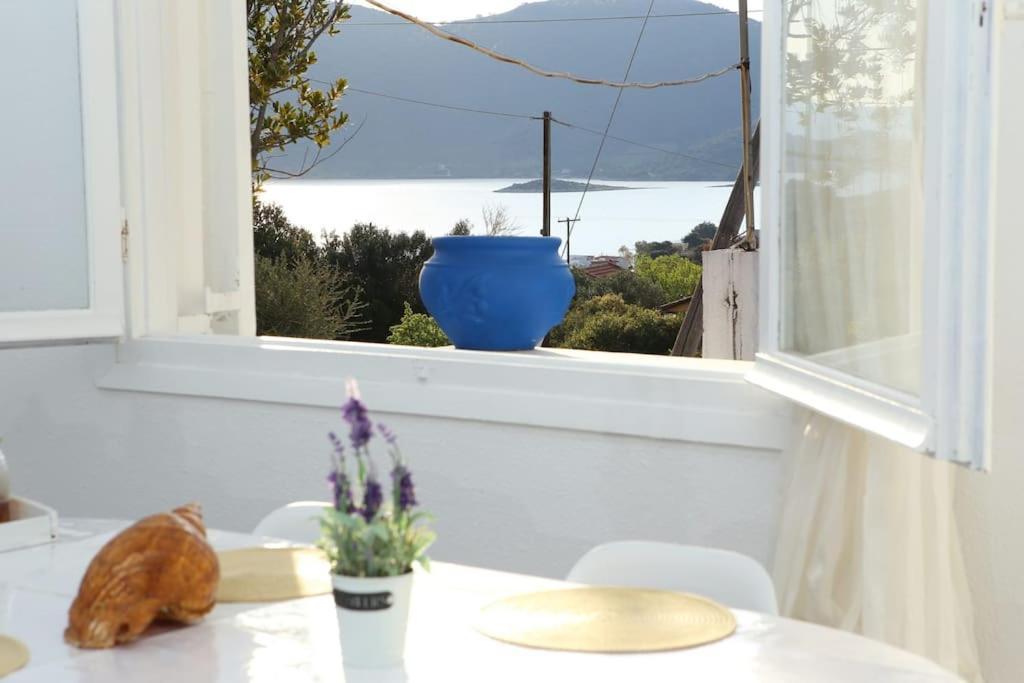White Villa In Olive Trees And Seaview To Panagia Almiropotamos Luaran gambar