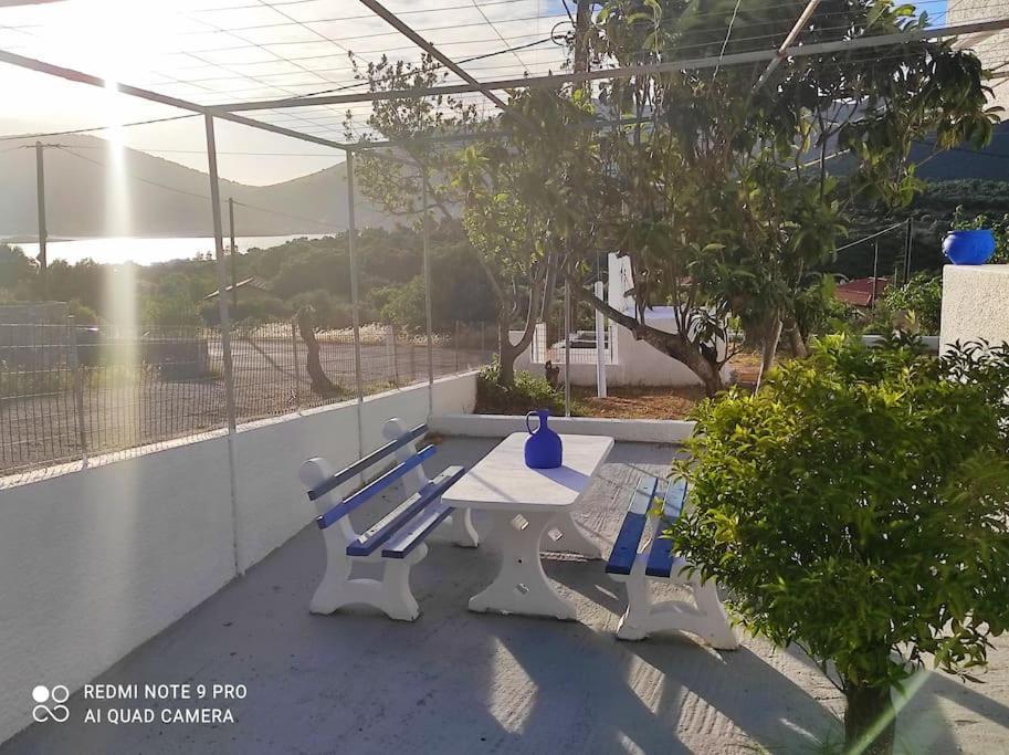 White Villa In Olive Trees And Seaview To Panagia Almiropotamos Luaran gambar