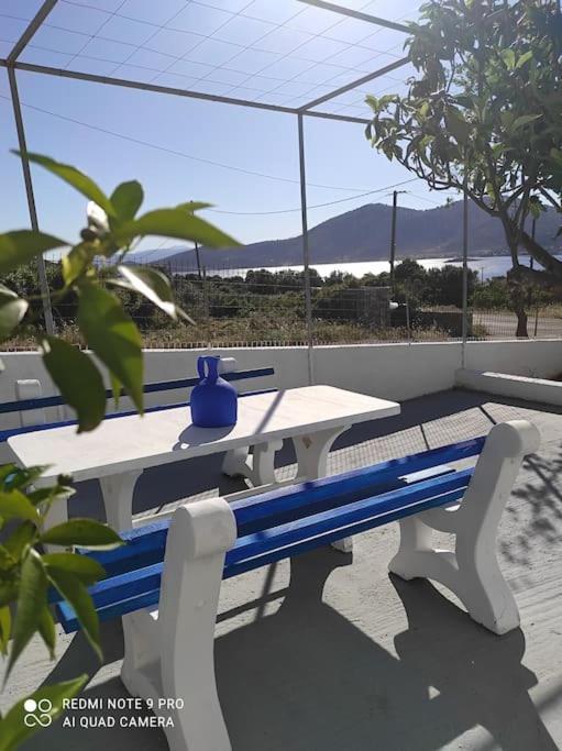 White Villa In Olive Trees And Seaview To Panagia Almiropotamos Luaran gambar