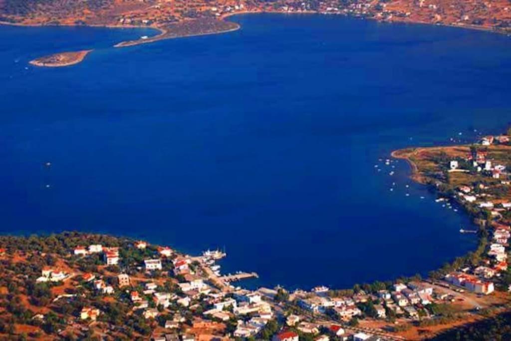 White Villa In Olive Trees And Seaview To Panagia Almiropotamos Luaran gambar
