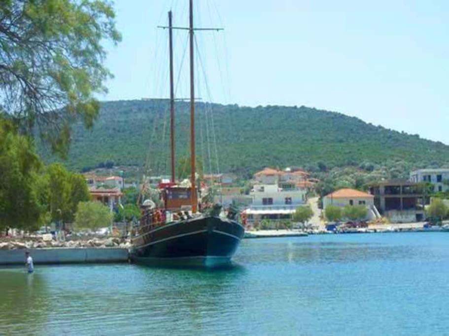 White Villa In Olive Trees And Seaview To Panagia Almiropotamos Luaran gambar