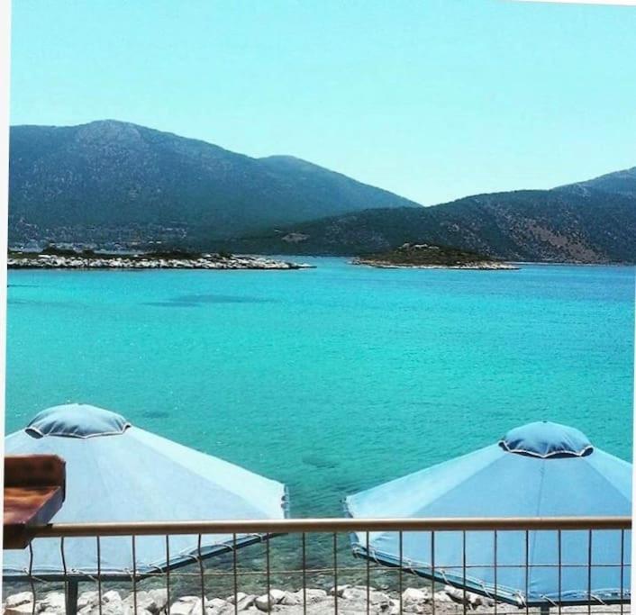 White Villa In Olive Trees And Seaview To Panagia Almiropotamos Luaran gambar