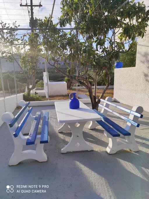 White Villa In Olive Trees And Seaview To Panagia Almiropotamos Luaran gambar
