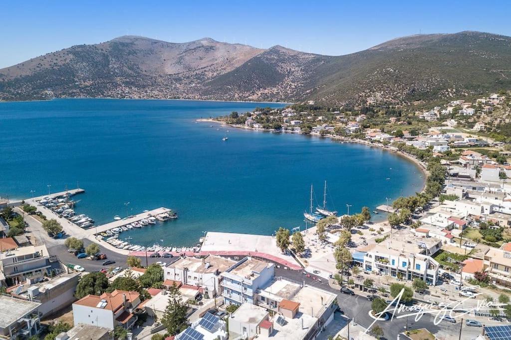 White Villa In Olive Trees And Seaview To Panagia Almiropotamos Luaran gambar