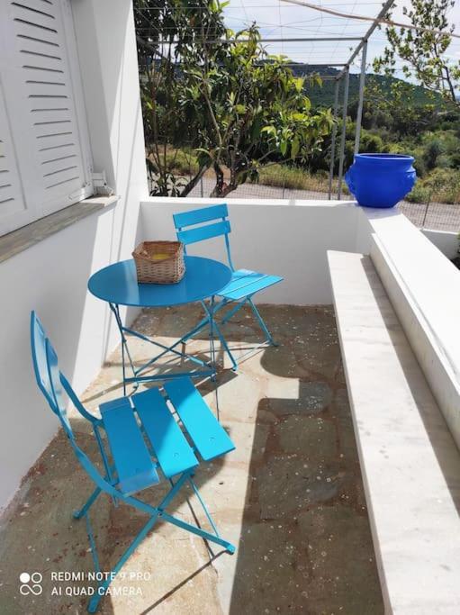 White Villa In Olive Trees And Seaview To Panagia Almiropotamos Luaran gambar
